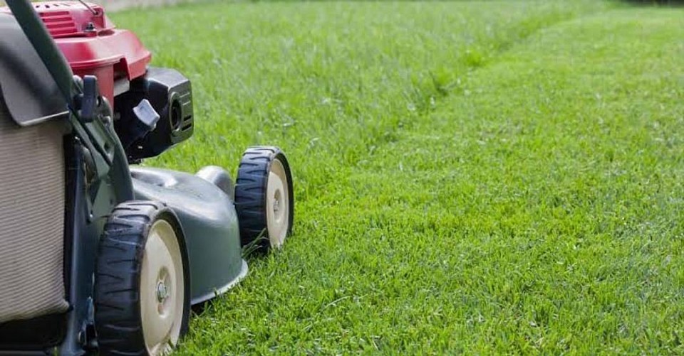 .Garding and Rubbish Removal